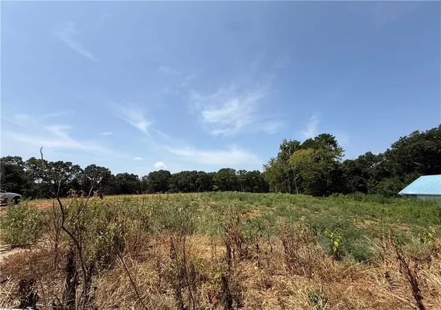 Photo 4 of Land for sale at Lot 1 Little St, Seligman, MO 65745 | MLS# 1358983 | Listing updated on 2026-08-14