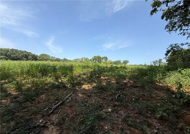 Photo 3 of Land for sale at Lot 10 Little St, Seligman, MO 65745 | MLS# 1358984 | Listing updated on 2026-08-14