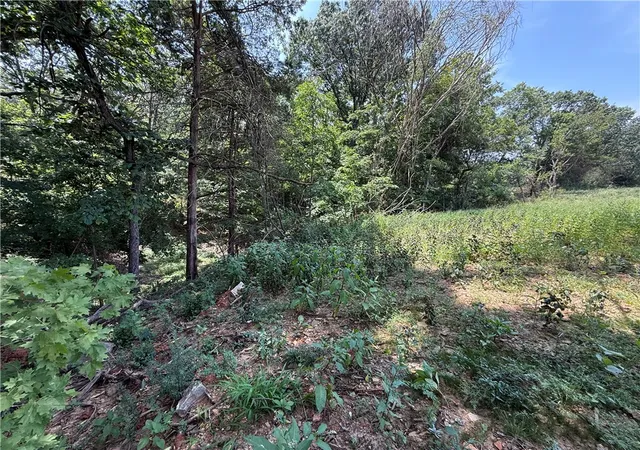 Photo 4 of Land for sale at Lot 10 Little St, Seligman, MO 65745 | MLS# 1358984 | Listing updated on 2026-08-14