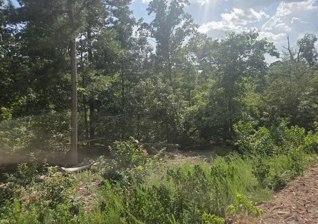 Photo 2 of Land for sale at Tbd Wakefield Ln, Bella Vista, AR 72715 | MLS# 1359046 | Listing updated on 2026-10-05