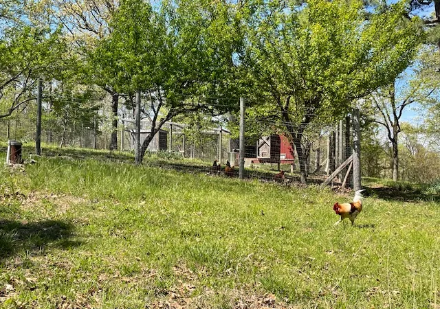 Photo 2 of Single family home for sale at 121 Mc 3005, Yellville, AR 72687 | MLS# 1359107 | Listing updated on 2026-08-18