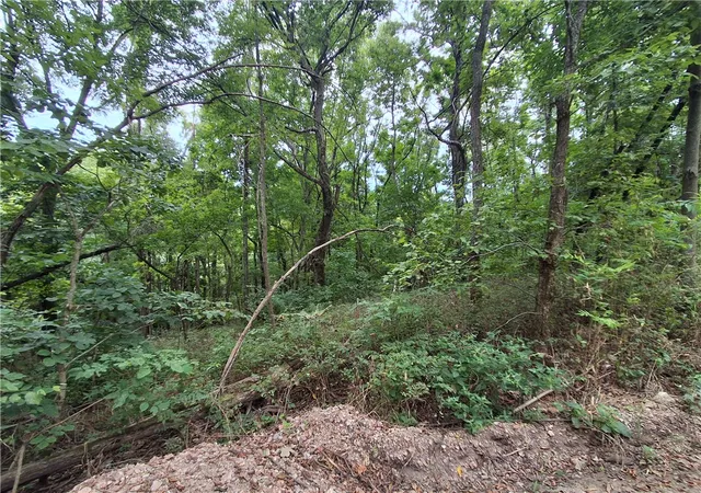 Photo 1 of Land for sale at Tbd County Rd 517, Berryville, AR 72616 | MLS# 1359147 | Listing updated on 2026-08-17
