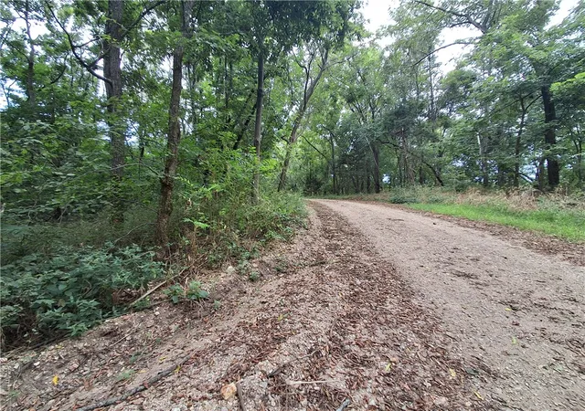 Photo 2 of Land for sale at Tbd County Rd 517, Berryville, AR 72616 | MLS# 1359147 | Listing updated on 2026-08-17