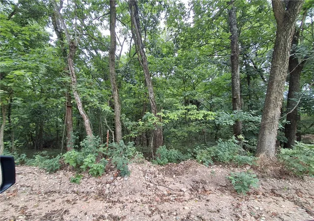 Photo 3 of Land for sale at Tbd County Rd 517, Berryville, AR 72616 | MLS# 1359147 | Listing updated on 2026-08-17