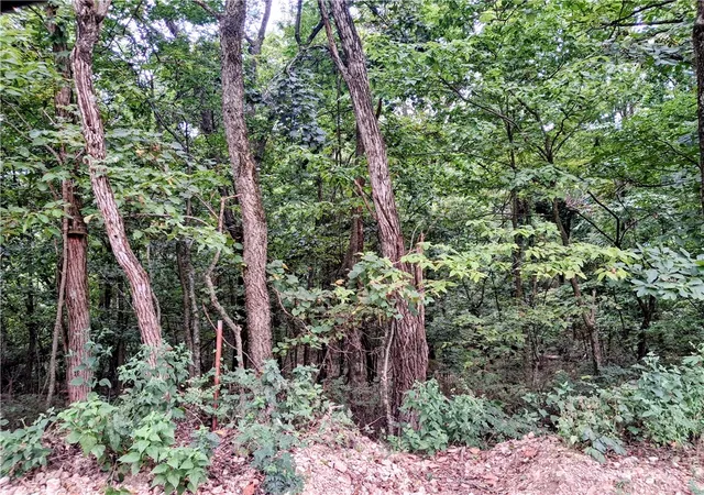 Photo 3 of Land for sale at Tbd County Rd 517, Berryville, AR 72616 | MLS# 1359147 | Listing updated on 2026-08-17
