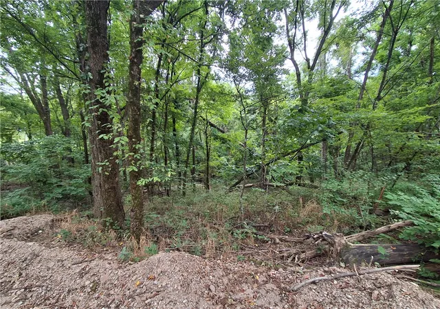 Photo 4 of Land for sale at Tbd County Rd 517, Berryville, AR 72616 | MLS# 1359147 | Listing updated on 2026-08-17