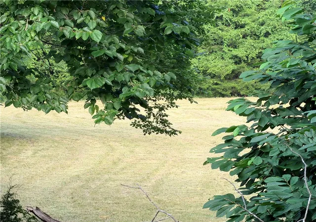 2nd image of 3150 Madison 3275 3150 Madison 3275, Huntsville, AR 72740 | MLS# 1359378