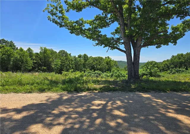 1st image of 16850 Old Cricket Rd, Omaha, AR 72662 | MLS# 1359288