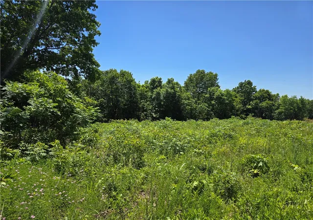 Photo 3 of Land for sale at 16850 Old Cricket Rd, Omaha, AR 72662 | MLS# 1359288 | Listing updated on 2026-08-26