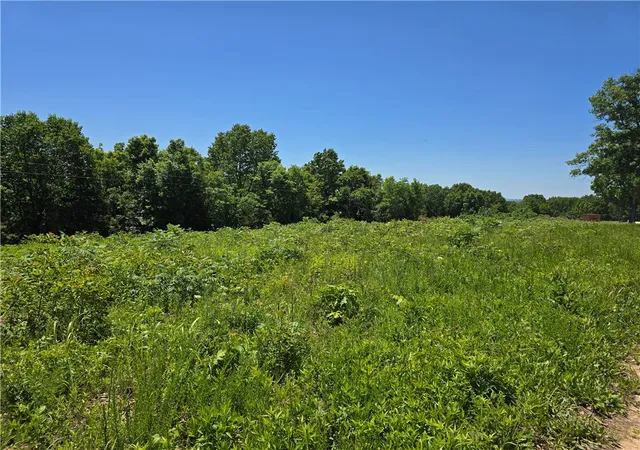 Photo 4 of Land for sale at 16850 Old Cricket Rd, Omaha, AR 72662 | MLS# 1359288 | Listing updated on 2026-08-26