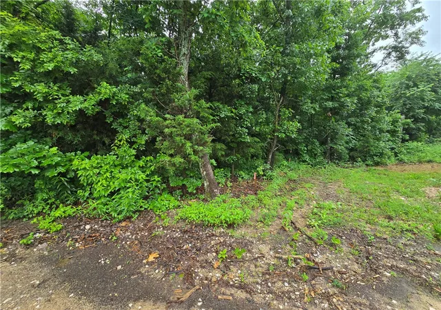 4th image of 16882 Old Cricket Rd, Omaha, AR 72662 | MLS# 1359296