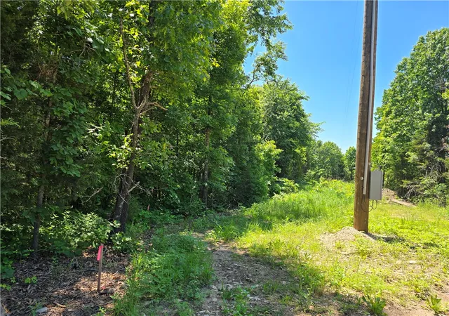 5th image of 16882 Old Cricket Rd, Omaha, AR 72662 | MLS# 1359296