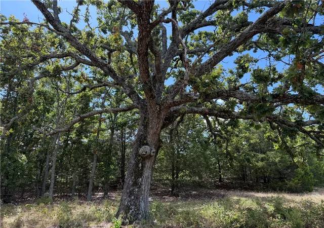 Photo 3 of Land for sale at 11284 Highway 170, Farmington, AR 72730 | MLS# 1359548 | Listing updated on 2026-08-20