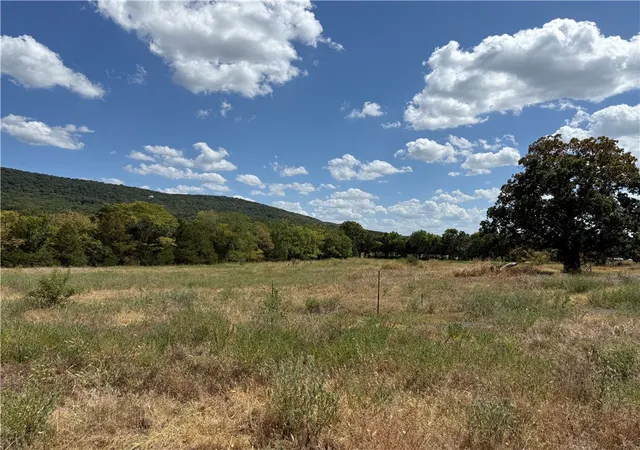 Photo 3 of Land for sale at 11334 Highway 170, Farmington, AR 72730 | MLS# 1359560 | Listing updated on 2026-08-21