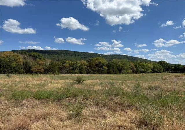 Photo 3 of Land for sale at 11334 Highway 170, Farmington, AR 72730 | MLS# 1359560 | Listing updated on 2026-08-21