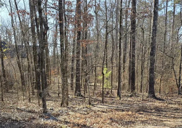 Photo 3 of Land for sale at 76 Elcano Dr, Hot Springs Village, AR 71909 | MLS# 1359636 | Listing updated on 2026-08-21