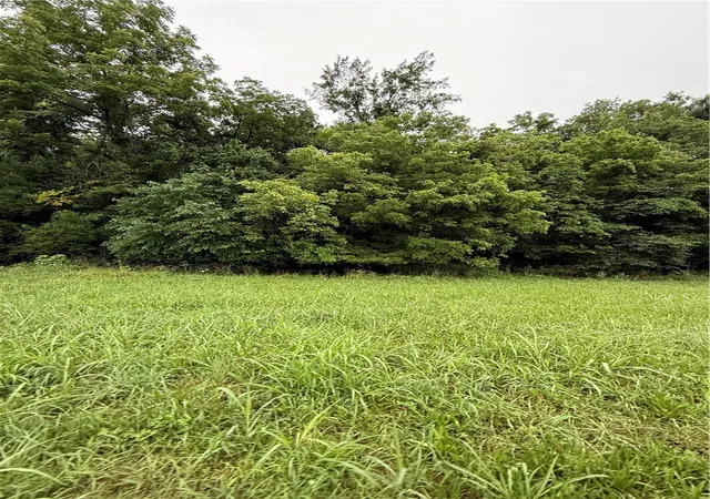 Photo 1 of Land for sale at 1724 Madison 5310, Witter, AR 72776 | MLS# 1359647 | Listing updated on 2026-08-22