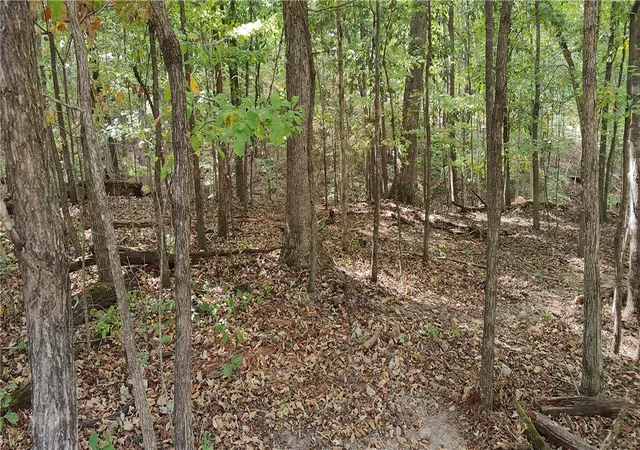 Photo 1 of Land for sale at 16 11641 000 Bell Ln, Bella Vista, AR 72714 | MLS# 1359583 | Listing updated on 2026-08-22