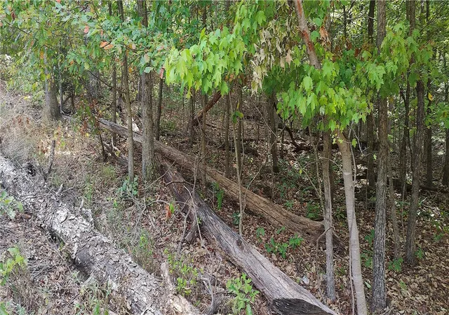 Photo 2 of Land for sale at 16 11641 000 Bell Ln, Bella Vista, AR 72714 | MLS# 1359583 | Listing updated on 2026-08-22