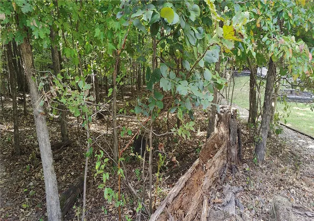 Photo 3 of Land for sale at 16 11641 000 Bell Ln, Bella Vista, AR 72714 | MLS# 1359583 | Listing updated on 2026-08-22