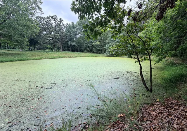Photo 14 of Land for sale at 240 Colton Ln, Stella, MO 64867 | MLS# 1359721 | Listing updated on 2026-08-22