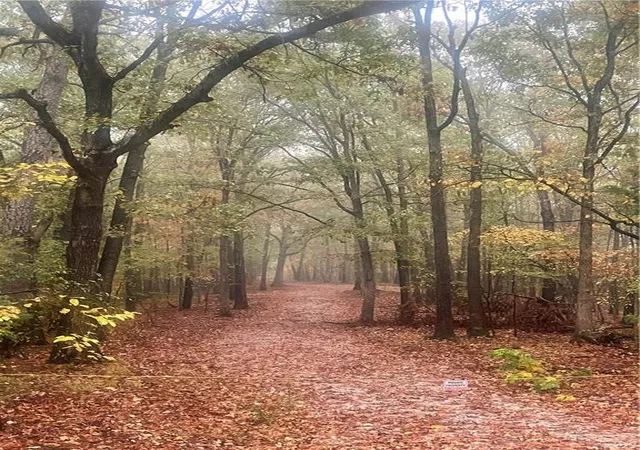 Photo 1 of Land for sale at 172 Saint Simons Ln, Eureka Springs, AR 72632 | MLS# 1359822 | Listing updated on 2026-08-25