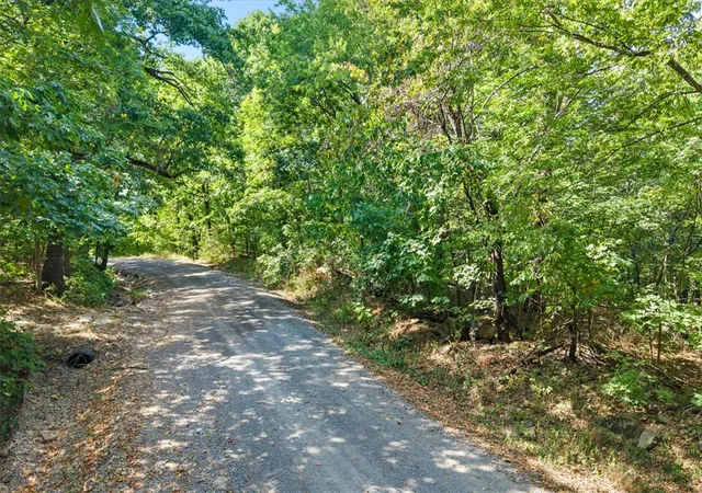 2nd image of 18026 N Skylight Mountain Rd, Canehill, AR 72717 | MLS# 1359251