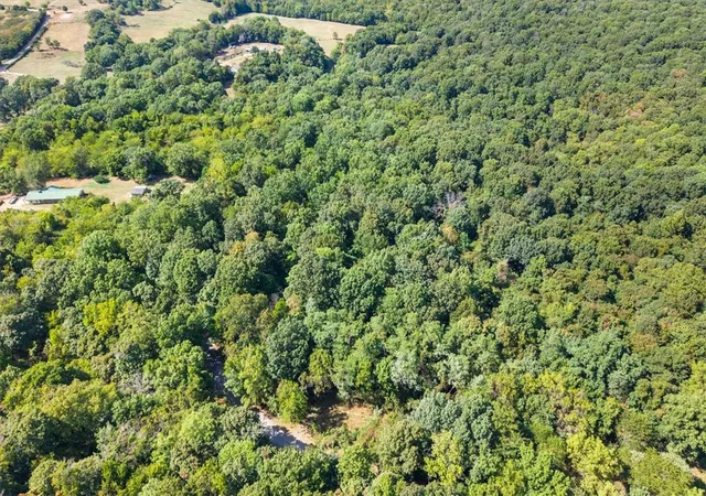 Photo 3 of Land for sale at 18026 N Skylight Mountain Rd, Canehill, AR 72717 | MLS# 1359251 | Listing updated on 2026-09-24