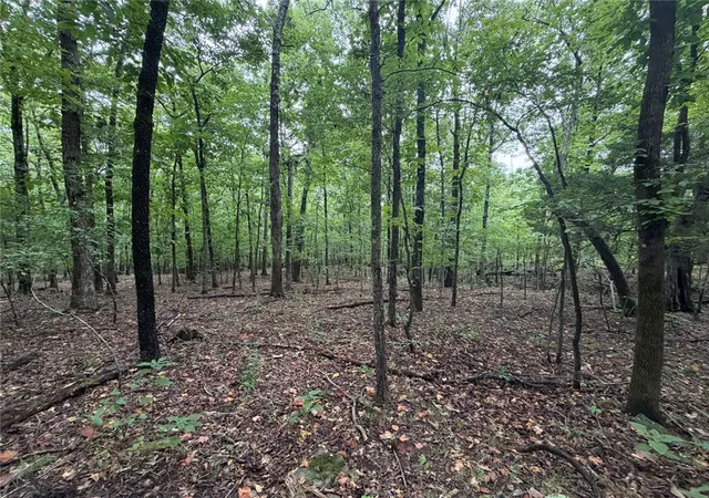 1st image of Tract 6 Nc 6832, Jasper, AR 72641 | MLS# 1359828