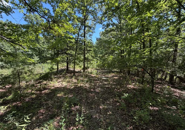 21st image of Tract 6 Nc 6832, Jasper, AR 72641 | MLS# 1359828