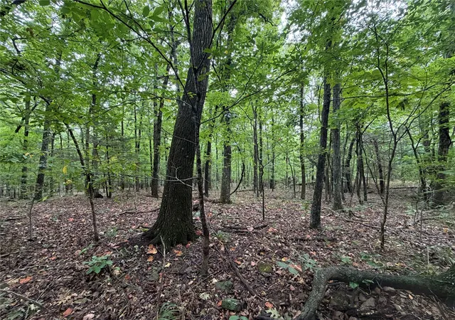 2nd image of Tract 6 Nc 6832, Jasper, AR 72641 | MLS# 1359828