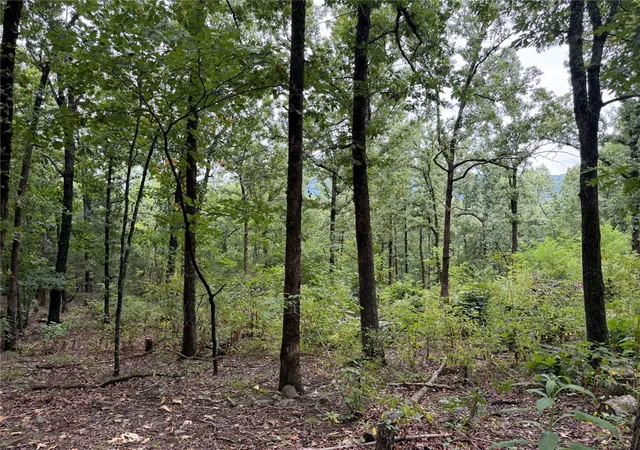 3rd image of Tract 6 Nc 6832, Jasper, AR 72641 | MLS# 1359828