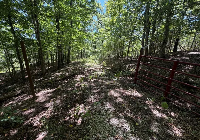 4th image of Tract 6 Nc 6832, Jasper, AR 72641 | MLS# 1359828