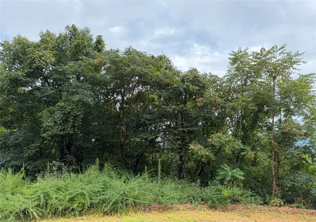 5th image of Tract 6 Nc 6832, Jasper, AR 72641 | MLS# 1359828