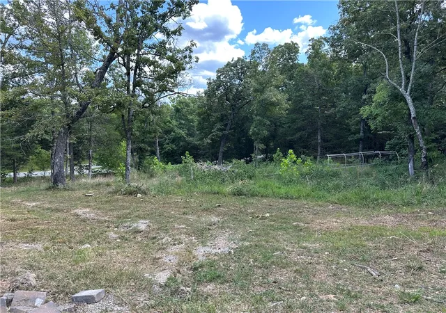 31st image of 37 Valley Forge Dr, Mountain Home, AR 72653 | MLS# 1359901