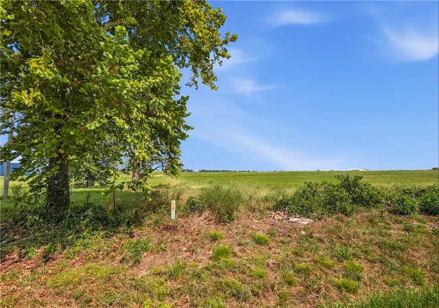 Photo 1 of Land for sale at Tbd Tract 5 Llewellyn Loop, Hector, AR 72843 | MLS# 1359192 | Listing updated on 2026-08-24