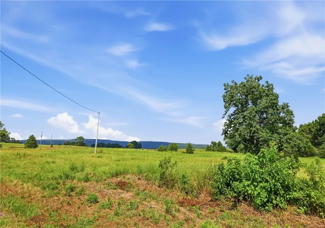 Photo 1 of Land for sale at Tbd Tract 4 Llewellyn Loop, Hector, AR 72843 | MLS# 1359191 | Listing updated on 2026-08-25