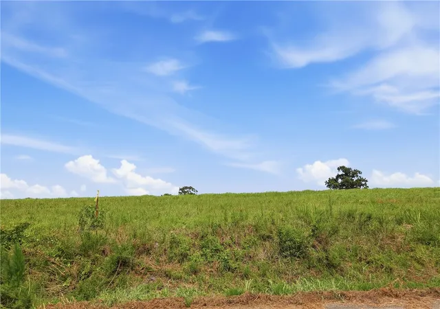 Photo 1 of Land for sale at Tbd Tract 3 Llewellyn Loop, Hector, AR 72843 | MLS# 1359190 | Listing updated on 2026-08-25