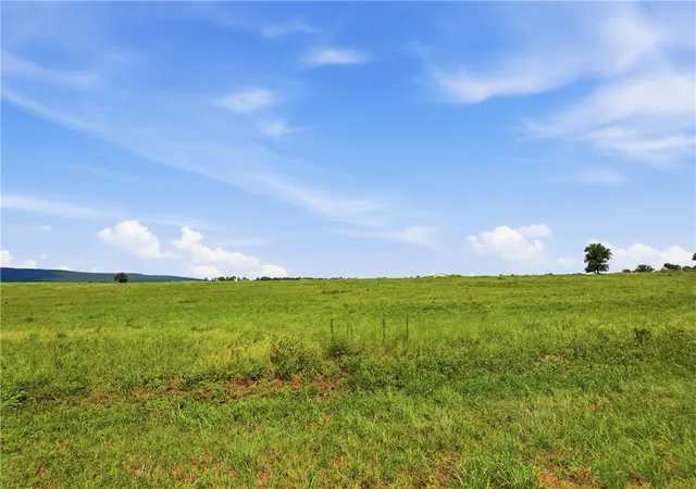 Photo 1 of Land for sale at Tbd Tract 1 Pine St, Hector, AR 72843 | MLS# 1359189 | Listing updated on 2026-08-25