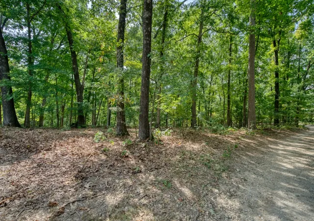17th image of Windsong Ln, Eureka Springs, AR 72631 | MLS# 1359967