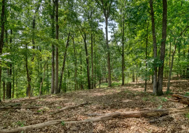 2nd image of Windsong Ln, Eureka Springs, AR 72631 | MLS# 1359967