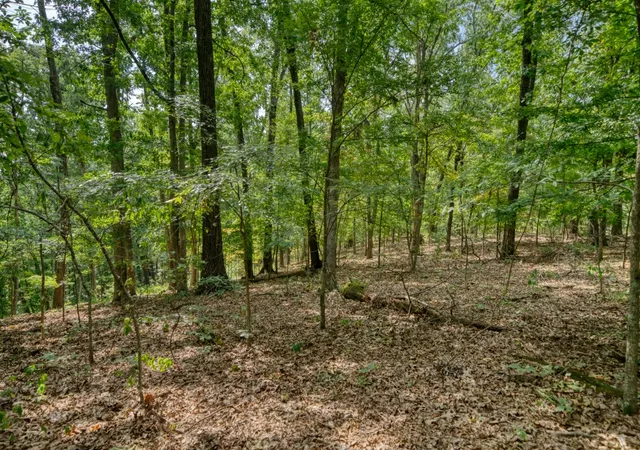 Photo 3 of Land for sale at Windsong Ln, Eureka Springs, AR 72631 | MLS# 1359967 | Listing updated on 2026-08-25