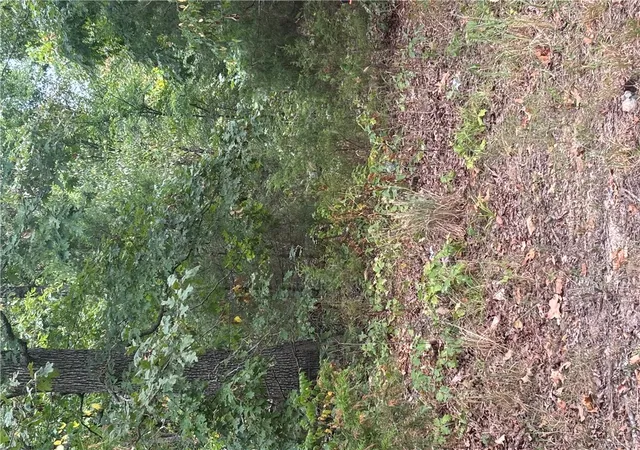 4th image of 001 Hwy 23, Huntsville, AR 72740 | MLS# 1359923
