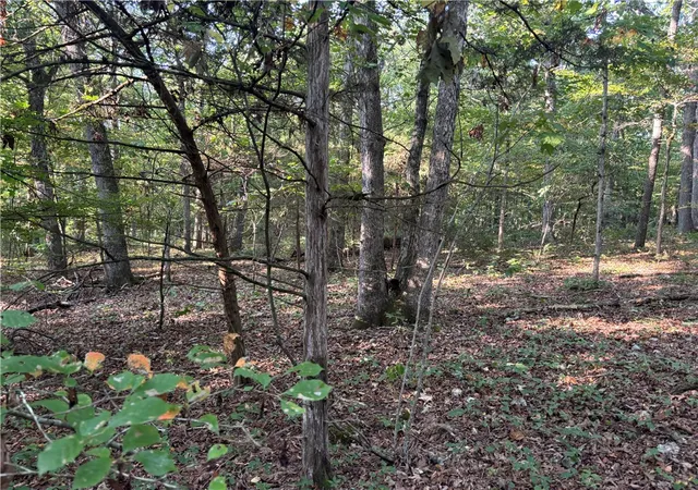 5th image of 001 Hwy 23, Huntsville, AR 72740 | MLS# 1359923