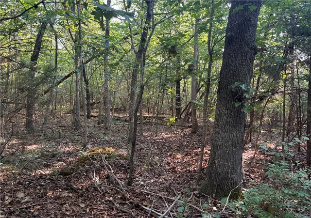 8th image of 001 Hwy 23, Huntsville, AR 72740 | MLS# 1359923