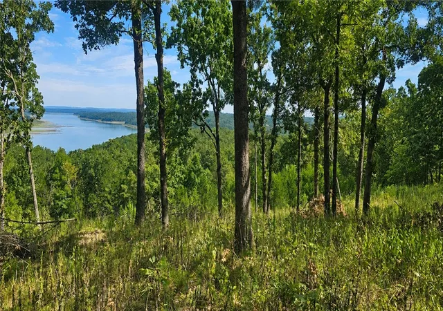 Photo 2 of Land for sale at Mc 2048, Lead Hill, AR 72644 | MLS# 1360043 | Listing updated on 2026-08-26