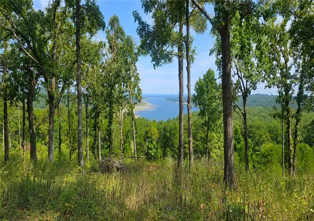 Photo 3 of Land for sale at Mc 2048, Lead Hill, AR 72644 | MLS# 1360043 | Listing updated on 2026-08-26