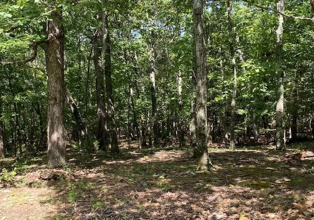 Photo 3 of Land for sale at 14516 Friendship Church Rd, West Fork, AR 72774 | MLS# 1182073 | Listing updated on 2026-08-18