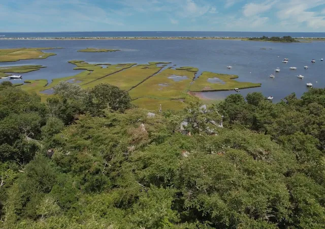 3rd image of 49 The Blvd, Edgartown, MA 02539 | MLS# 22604053
