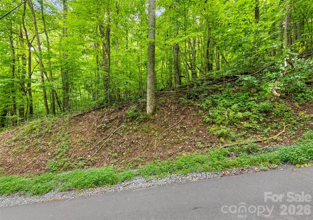 1st image of 00 Dogwood Trl #21&22, Waynesville, NC 28786 | MLS# 4412374